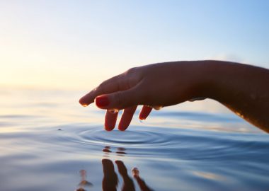 Whatweare, l’organisme de formation en quête d’une plateforme LMS simple et intuitive