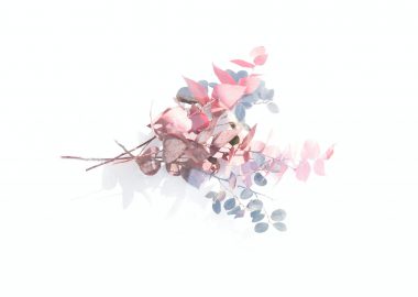 Le monde de l’esthétique séduit par le e-learning